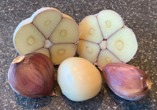 Garlic Bulbs