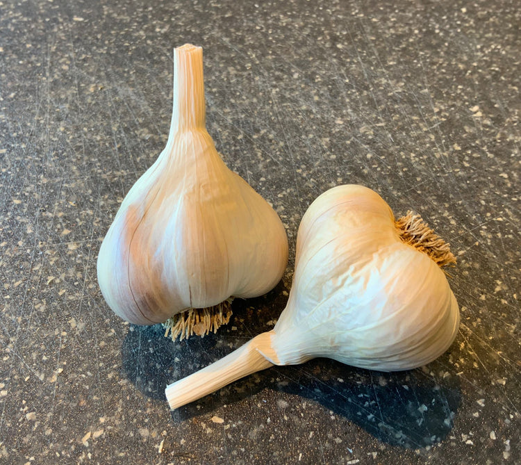 Idaho Silver Garlic Bulbs