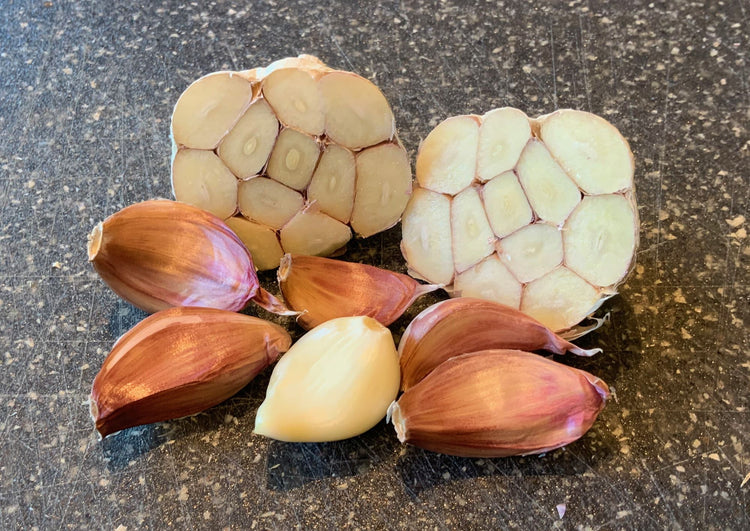 Idaho Silver Garlic Bulbs