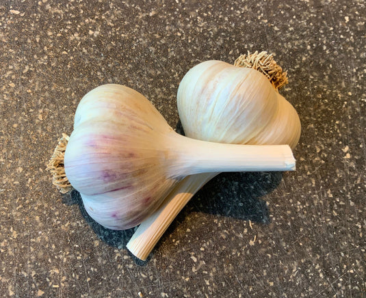 Garlic Bulbs