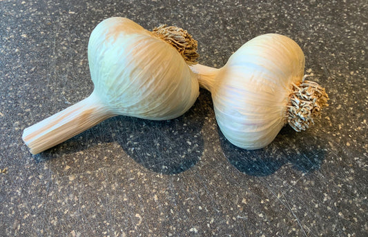 Romanian Red Garlic Bulbs